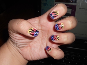 Rainbow zebra c: