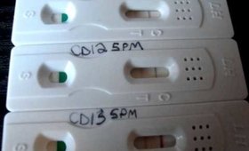 TTC#1 Cycle 1: OPK Tests for CD11 to CD13