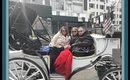 Sarah's Spiels: Carriage Ride Through Central Park