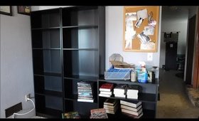 New Bookshelves