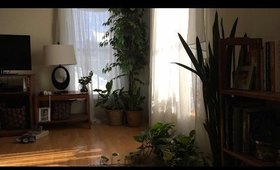 Small Apartment Tour from Facebook Live + Life Update