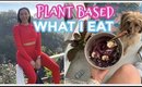 what i eat in a day | PLANT BASED | meal ideas
