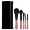 CHIKUHODO Chikuhodo Collection 2025 Antique Pink Brush Set