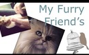 The Furry Friend TAG | TheCameraLiesBeauty