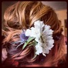 Wild Flower...by Calista Brides Hair & Makeup Artistry