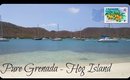 Hog Island Vlog ♥ Pure | Divya Amarnani Noel