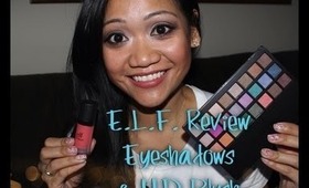 E.L.F. Review: Endless Eyes Pro Eyeshadow Palette & Studio HD Blush