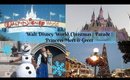 Christmas At Walt Disney World | Magic Kingdom Parade | Princess Meet & Greets
