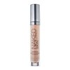 Urban Decay Naked Skin Weightless Complete Coverage Concealer Fair Neutral