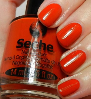 http://www.letthemhavepolish.com/2013/08/seche-nail-color-clever-confident-fall.html