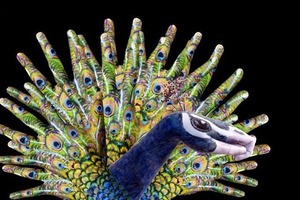 I painted my hands to look like a peacock