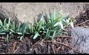 happy april