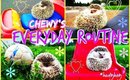 Chewy's Everyday Routine | Hedgehog Edition
