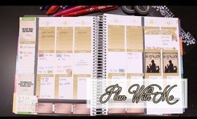 Plan With Me | Erin Condren Vertical Life Planner | Aug 3-9, 2015