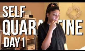 Self Quarantined Day 1 Vlog : Los Angeles, California