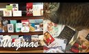 Vlogmas Day 21 | ALL the Holiday Mail!