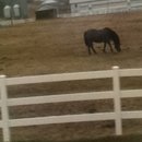 My horse Jack!:)