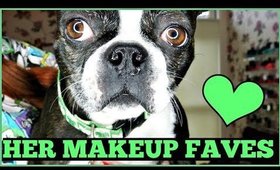 My Dog's Favorite Makeup Products + Thank you for 800 Subscribers!