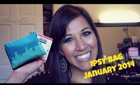 Ipsy Bag January 2014 ( 19 Reasons)