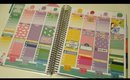 Plan With Me #2 ♡ Scribble Prints Co Mystery Kit