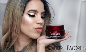 November Favorites 2016