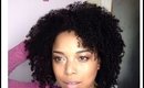 High Porosity Hair ~  LOC Method WashnGo In 1 Easy Step