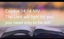 Devotional Diva  - The Lord Will Fight For You