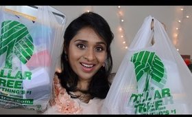 Dollar Tree Haul- December: Home Decor & More