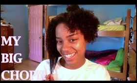 My Natural Hair Journey: Big Chop!