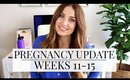 Pregnancy Update: Weeks 11-15 // Differences Between Twin & Singleton | Kendra Atkins
