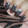 Zebra Print