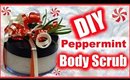 DIY Peppermint Body Scrub │ Easy Gift Idea!