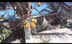 Vacation Vlog PART 3 - Progresso, Mexico