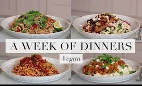 What I Ate for Dinner This Week #2 (Vegan/Plant-based) | JessBeautician
