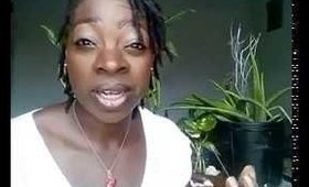Introduction to Crystals - The Magickal Tiger's Eye!