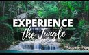 JUNGLE VIDEOS | [Cinematic Jungle Videos]