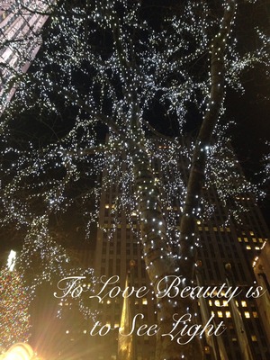 To Love Beauty is to See Lights~ Victor Hagn