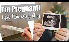 Pregnancy Vlog First Trimester