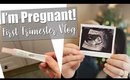 Pregnancy Vlog First Trimester