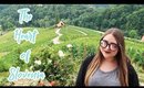 The Most Instagrammable Heart Road | Slovenia Travel Vlog
