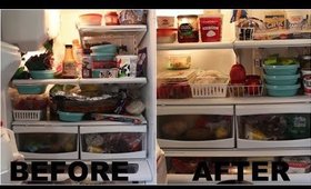 REFRIGERATOR/FREEZER CLEANOUT & DOLLAR TREE ORGANIZATION