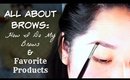 All About Brows | Daily Eyebrow Tutorial