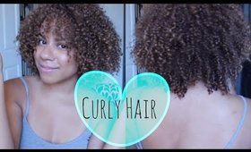 HOW TO TAME DRY FRIZZY CURLY HAIR | Adozie