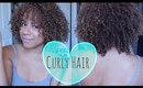 HOW TO TAME DRY FRIZZY CURLY HAIR | Adozie