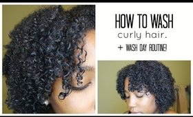 How to Wash Curly Hair - Wash Day Routine | Jessica Chanell