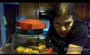 How to air fry chicken my first time #cooking