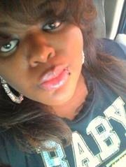 Cedes cedes D.