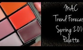 MAC Lip Trend Forecast Spring 2016 Palette + my MAC lip palette collection