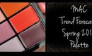 MAC Lip Trend Forecast Spring 2016 Palette + my MAC lip palette collection