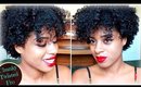 My DNA Curls Product Line | Review & Demo *GIVE AWAY*